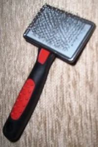 macska létre