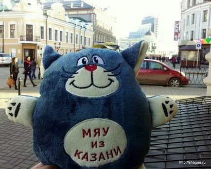 Kazan macska Kazan macska