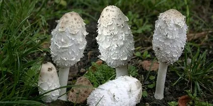 Hogyan kell kezelni az emberek módszerek Hogyan kell kezelni az emberek módszerek