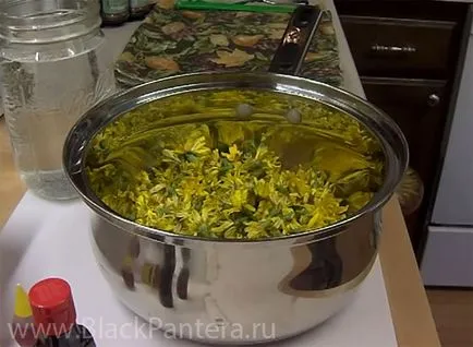 Hogyan kell kezelni a máj Hogyan kell kezelni a máj
