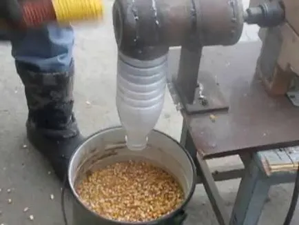 Kukorica saját kezűleg