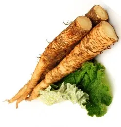 Hogyan kell szedni a bojtorján