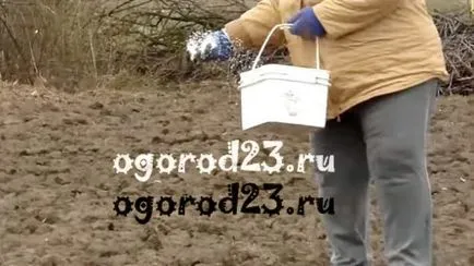 Mi karbamid növények