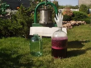 Hogyan készítsünk egy tinktúra alkohol