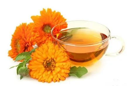 Calendula kezelésére Calendula kezelésére