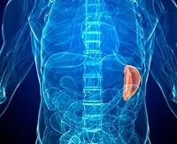 hypovolemia meg hypovolemia meg