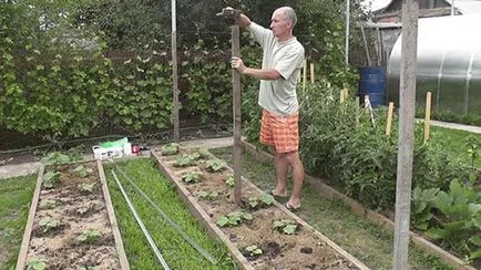 Mi a rácsos uborka Mi a rácsos uborka
