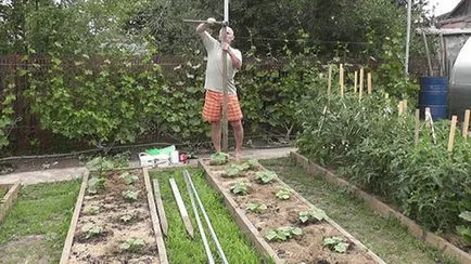 Mi a rácsos uborka Mi a rácsos uborka