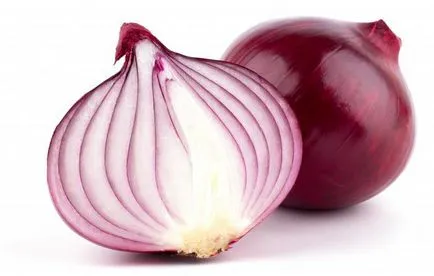 Tor böngésző meg