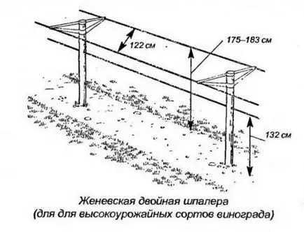 készülék rácsos készülék rácsos