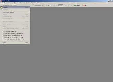 Pdf formátumban is
