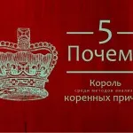 Egy ember repül, mint a madár