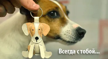 Abból, amit a kutya hasmenés