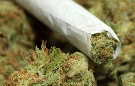 Hogyan kannabiszszívással Hogyan kannabiszszívással