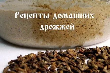 Hogyan készítsünk egy didergő