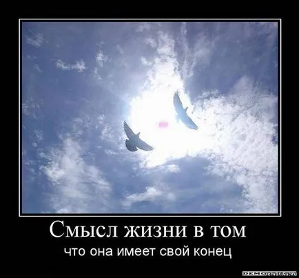 Miért érdemes élni Miért érdemes élni