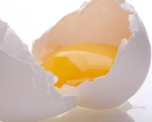 Szalmonellózis, mint a gyógyítás