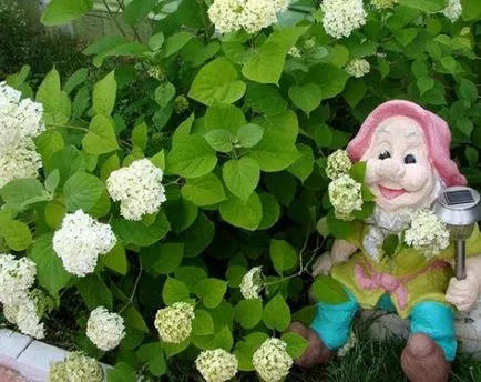 Mi a különbség a számok a kertben