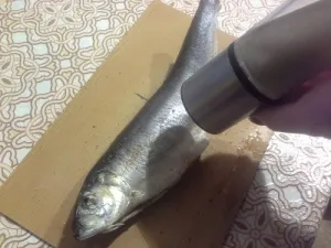 Hogyan kell sütni a sütőben hering