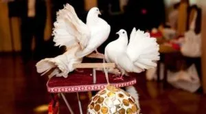 Doves esküvőre Doves esküvőre