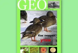 Hogyan lehet a fedelet a magazin Hogyan lehet a fedelet a magazin