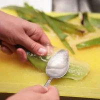 Aloe juice otthon Aloe juice otthon