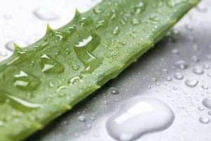 Aloe juice otthon