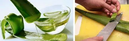 Aloe juice otthon Aloe juice otthon