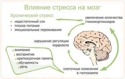 Mi lehet az oka a stressz
