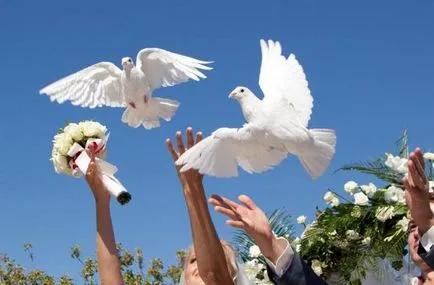 Doves esküvőre