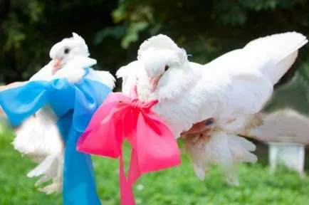 Doves esküvőre