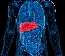Toxikus hepatitis amit Toxikus hepatitis amit