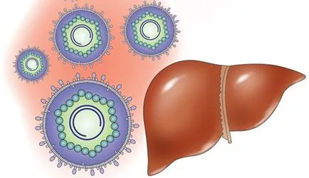 Toxikus hepatitis amit Toxikus hepatitis amit