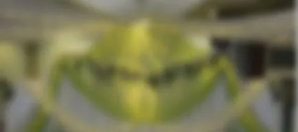 Hogyan lehet díszíteni egy esküvői asztalra