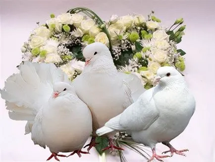 Doves esküvőre Doves esküvőre