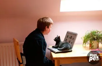 A karakter a magyar kék macska A karakter a magyar kék macska
