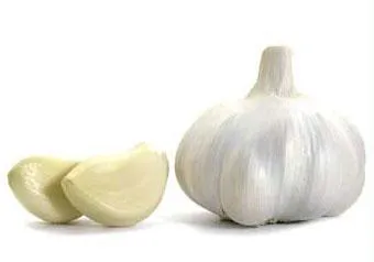 A rossz szag A rossz szag