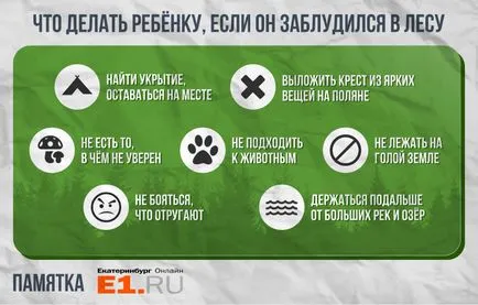 10 elemi a gyermekek jogait, mit kell tenni, ha eltévedt az erdőben (erdő) 10 elemi a gyermekek jogait, mit kell tenni, ha eltévedt az erdőben