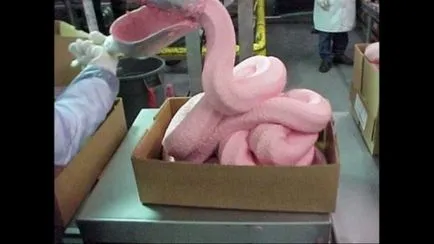 15 tény a ételt McDonalds, tudván, hogy akkor felejtsük el a módját, hogy - egy jó forrása a