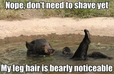 20 Igazmondó okokat lányok nem borotválja a lábát, umkra (szemben borotválkozó női lábak) 20 Igazmondó okokat lányok nem borotválja a lábát, umkra