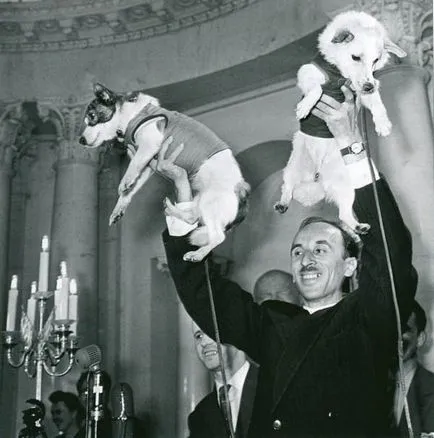 23 Tények az első űrhajós - a kutya Laika, a hős a Szovjetunió