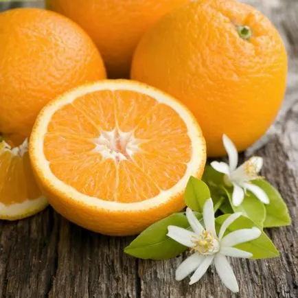 5 tipp, hogyan kell ültetni narancs otthon