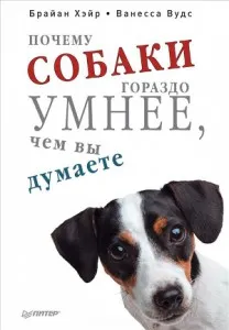 Működik a kutyák Működik a kutyák