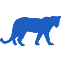 Alk - ázsiai leopárd macska, cica alk alk óvoda! (Egzotikus macskák) Alk - ázsiai leopárd macska, cica alk alk óvoda!