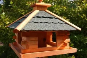 Quilling pillangó áramkör és a mester osztályt nachinayuyih (fotó)