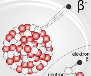 Béta-sugárzás, különösen a koncepció sugárvédelmi