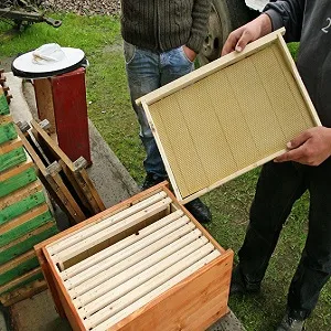 Gyors és minőségi termelést keretek kaptárok kezével video, lépésről lépésre, (keret) Gyors és minőségi termelést keretek kaptárok kezével video, lépésről lépésre,