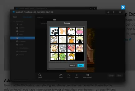 Ingyenes online képszerkesztő picnik és utódai (a hívők, hogy megszabaduljon a) Ingyenes online képszerkesztő picnik és utódai