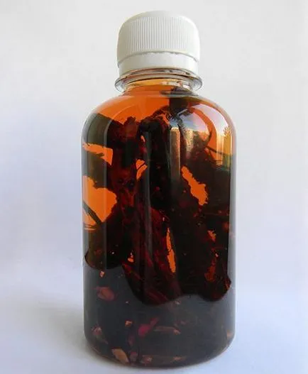 Fehér bloodroot véleménye a kérelem