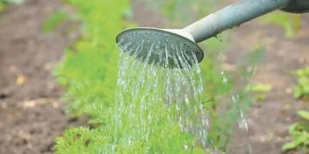 Weed a kertben a modern - bashagroplast